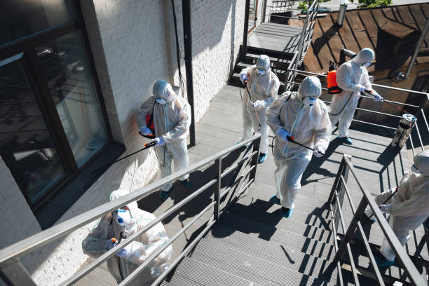 Best Airborne Mold Testing  in Winnsboro Mills, SC