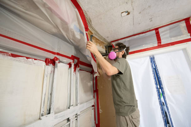 Best Mold Odor Removal Services  in Winnsboro Mills, SC
