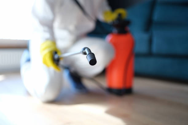Best Commercial Mold Inspection  in Winnsboro Mills, SC