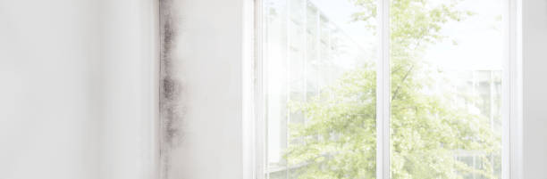 Best Indoor Air Quality Assessment  in Winnsboro Mills, SC